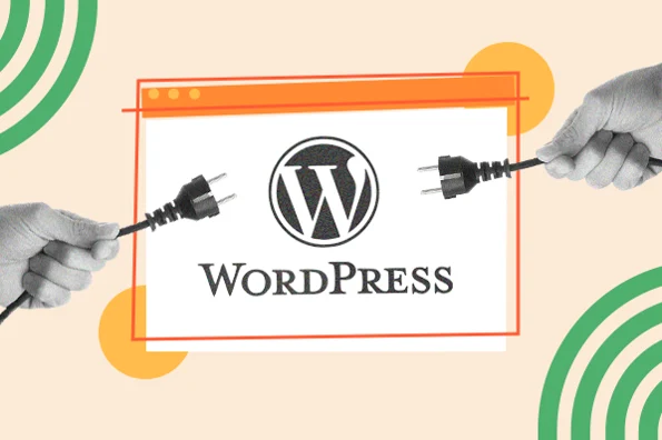 Effortless WordPress Installation with the Help of Softaculous